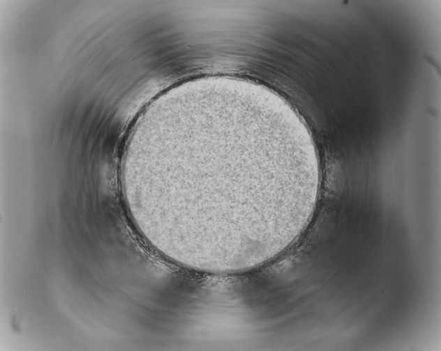 X0000103960978200810171858