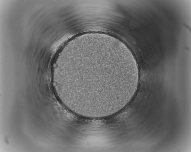 X0000103960979200810171858