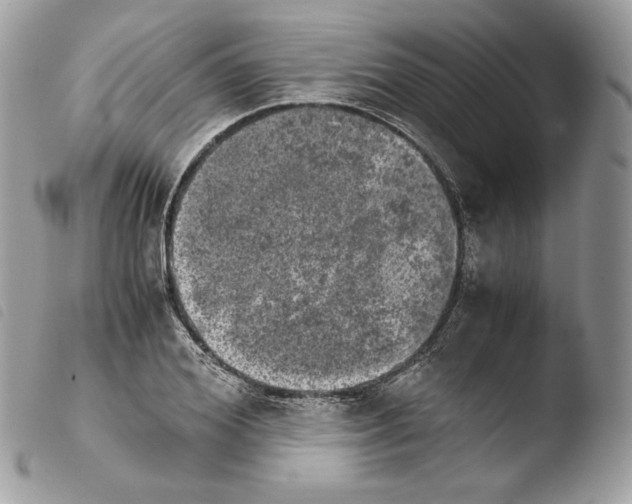 X0000103960980200810171858