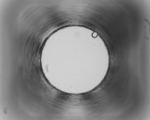 X0000103960981200810171858