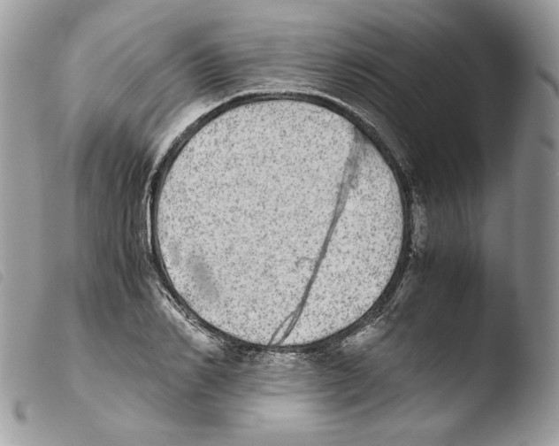 X0000103960982200810171858