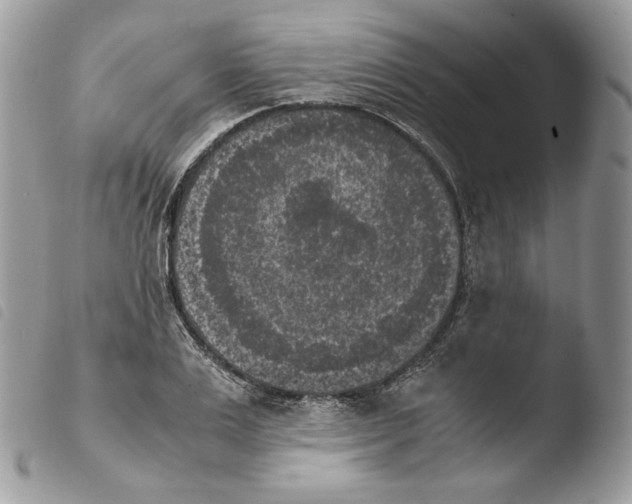 X0000103960983200810171858