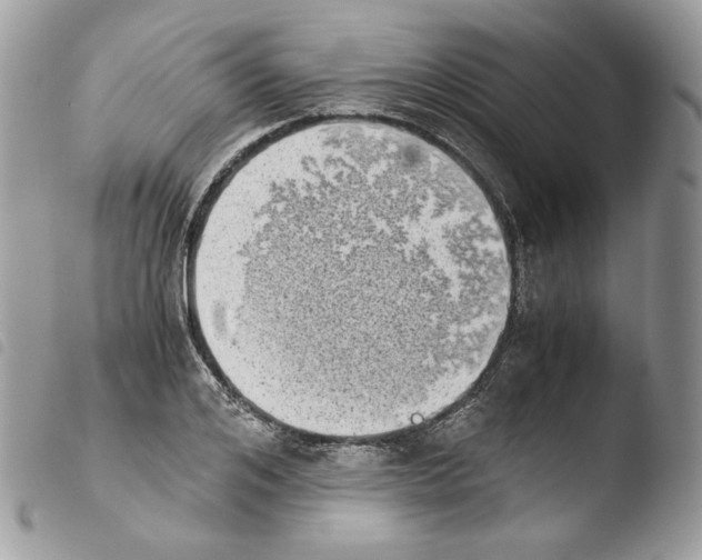 X0000103960984200810171858