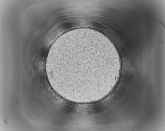 X0000103960985200810171858