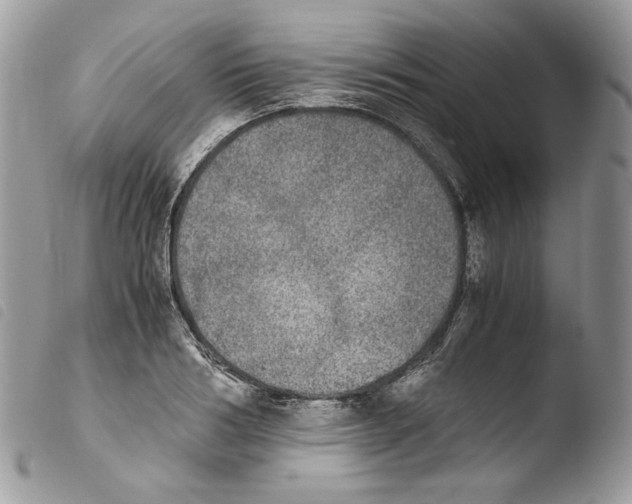 X0000103960986200810171858