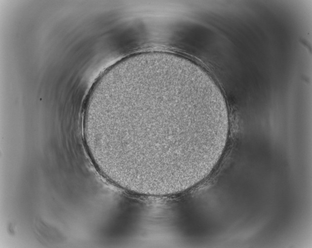 X0000103960987200810171858