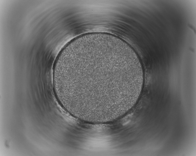 X0000103960988200810171858