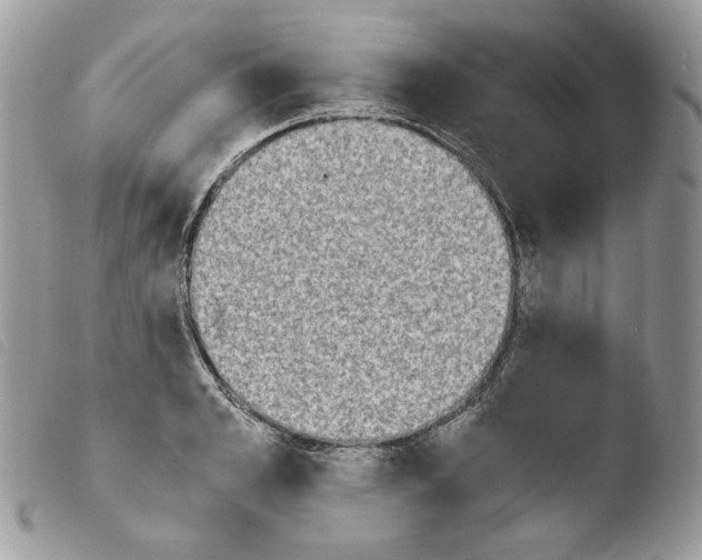 X0000103960989200810171858