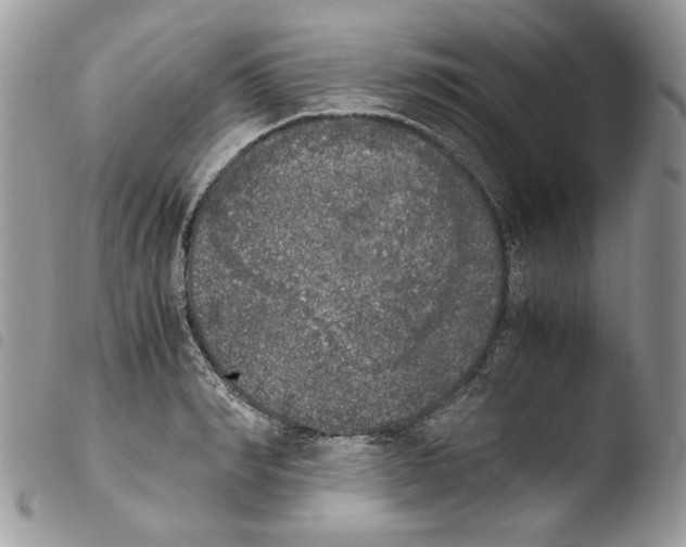 X0000103960990200810171858