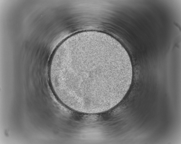 X0000103960991200810171858