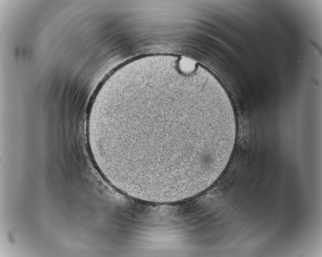 X0000103960992200810171858