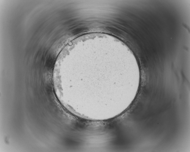 X0000103960993200810171858