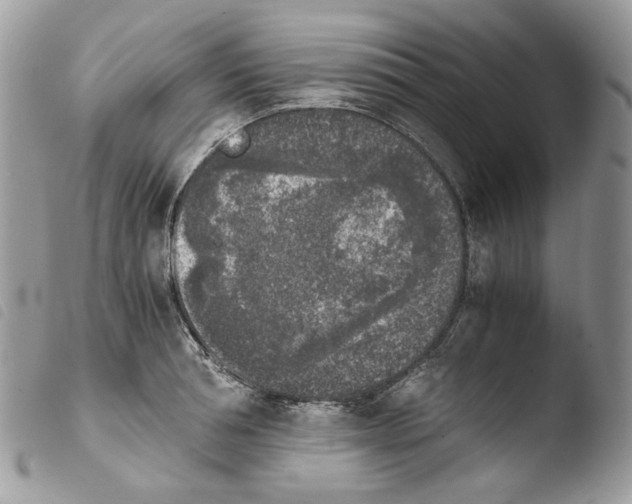 X0000103960994200810171858