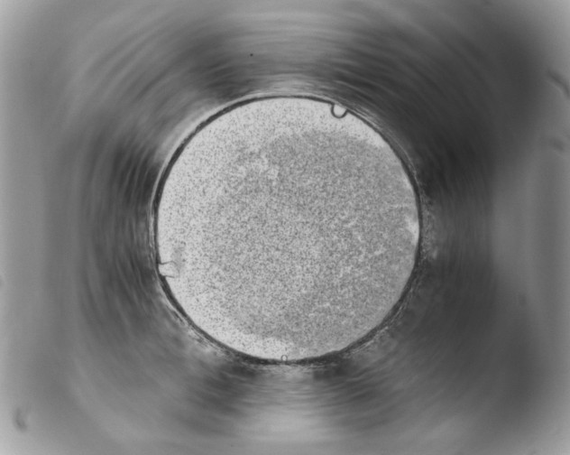 X0000103960996200810171858