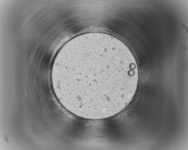 X0000103960997200810171858