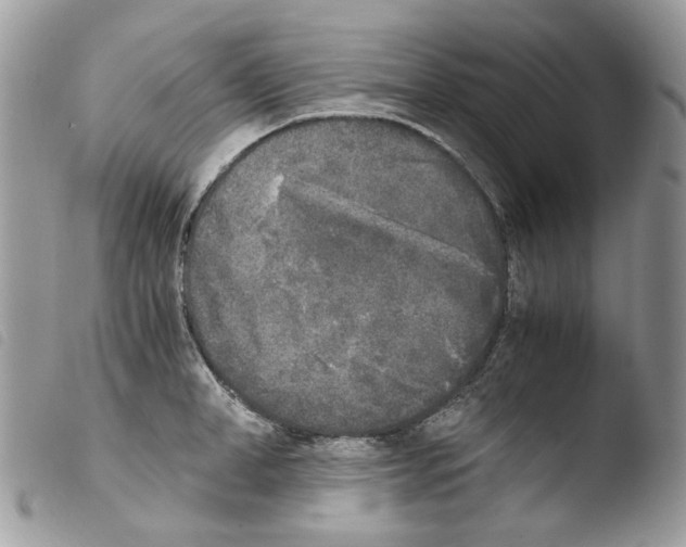 X0000103960998200810171858