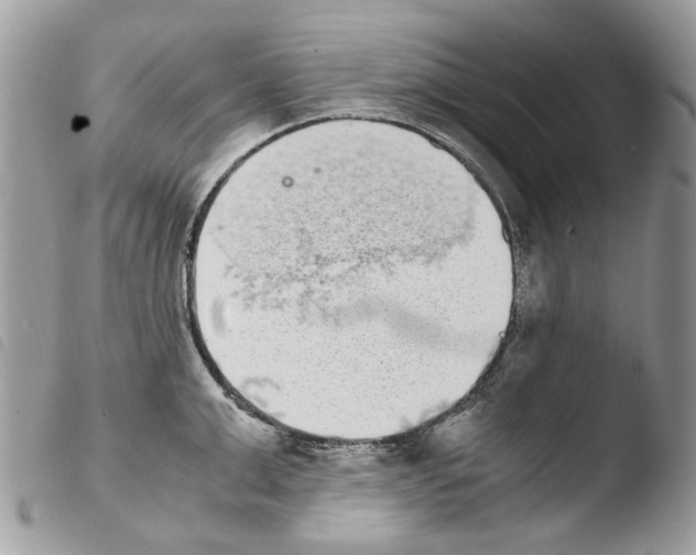 X0000103960999200810171858