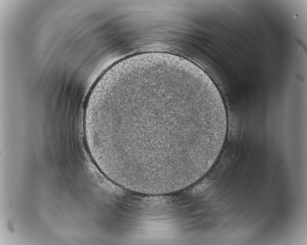 X0000103961000200810171858