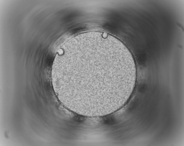 X0000103961001200810171858