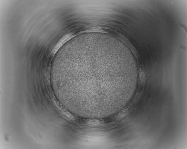 X0000103961002200810171858