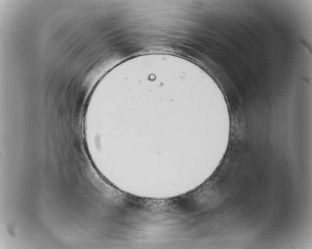 X0000103961003200810171858