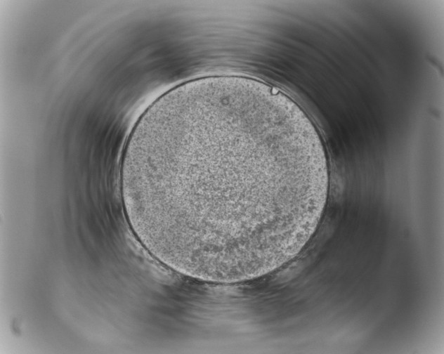 X0000103961004200810171858