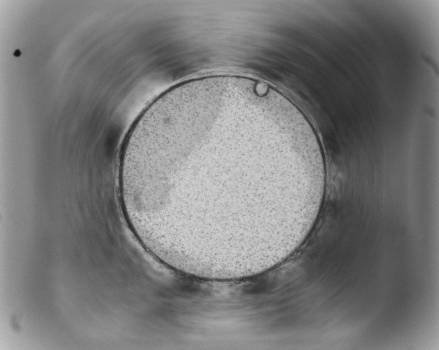 X0000103961005200810171858