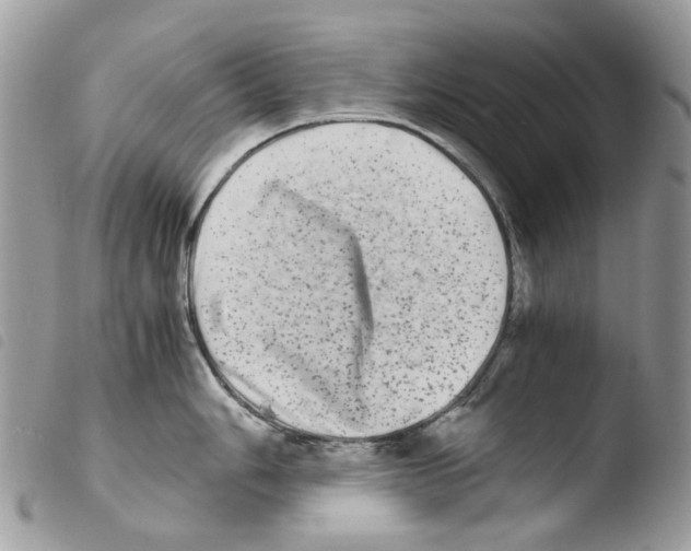 X0000103961006200810171858