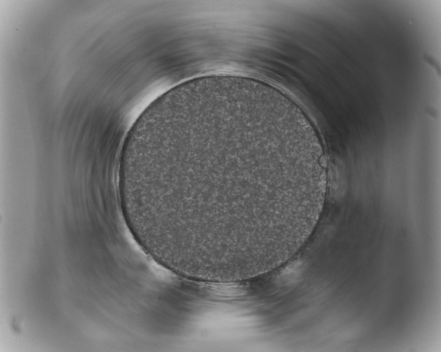 X0000103961007200810171858