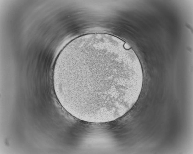 X0000103961008200810171858