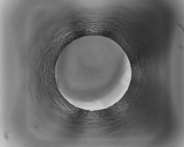 X0000103961009200810171857