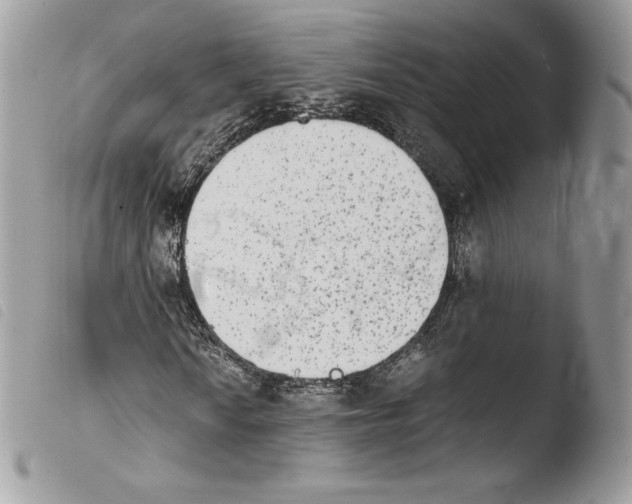 X0000103961010200810171857