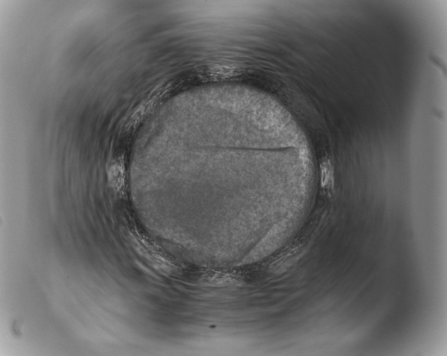 X0000103961011200810171857