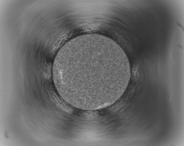 X0000103961012200810171857