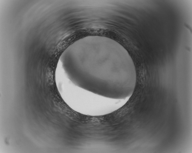 X0000103961013200810171857