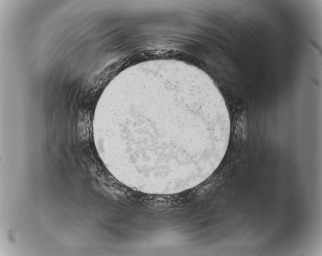 X0000103961014200810171857