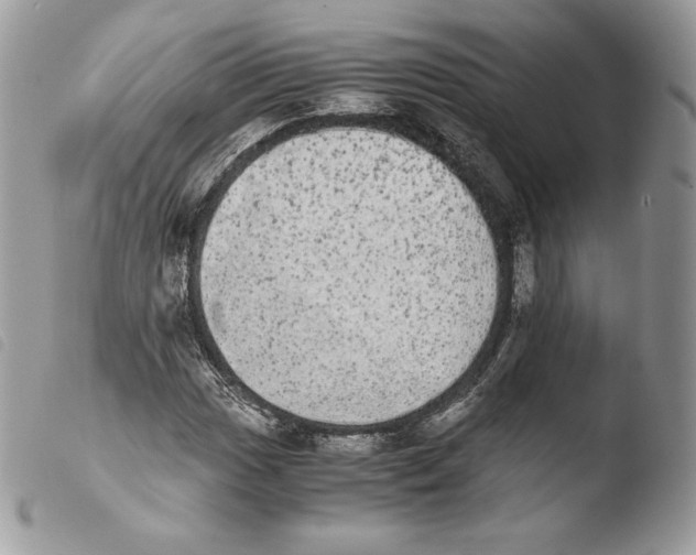 X0000103961017200810171857