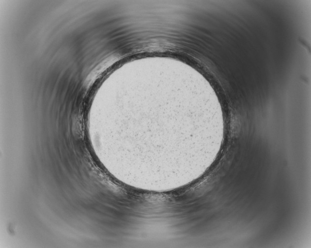 X0000103961018200810171857