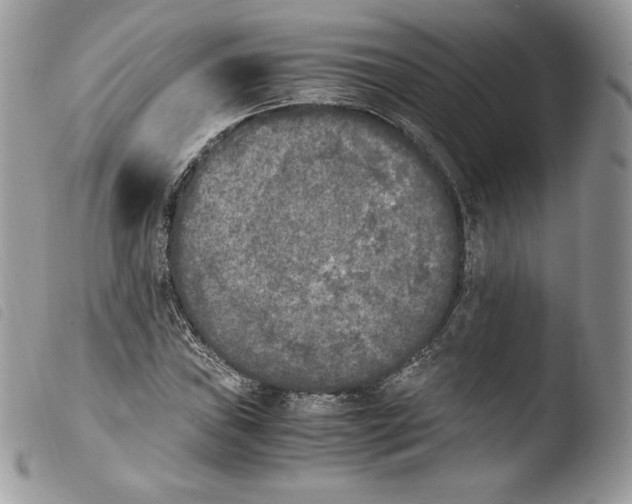 X0000103961019200810171857