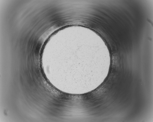 X0000103961020200810171857