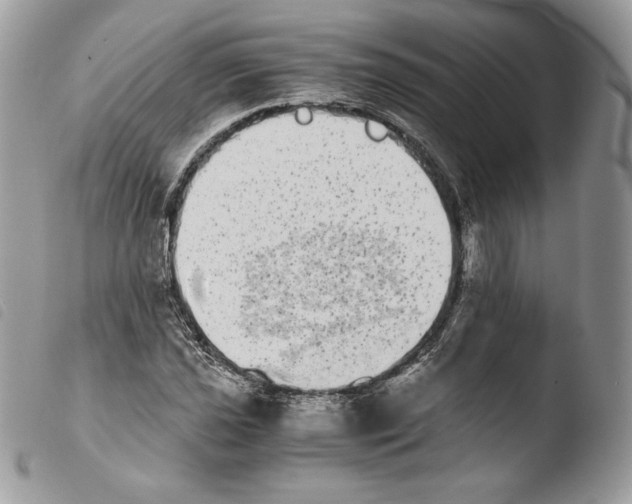 X0000103961021200810171857