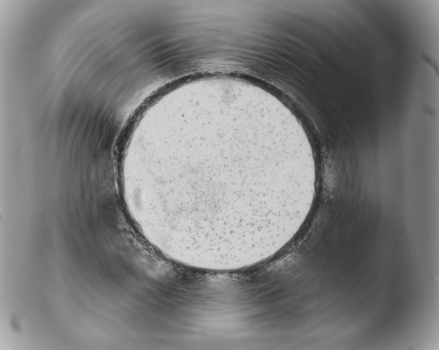 X0000103961022200810171857