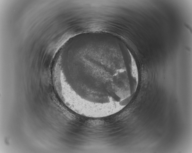 X0000103961023200810171857