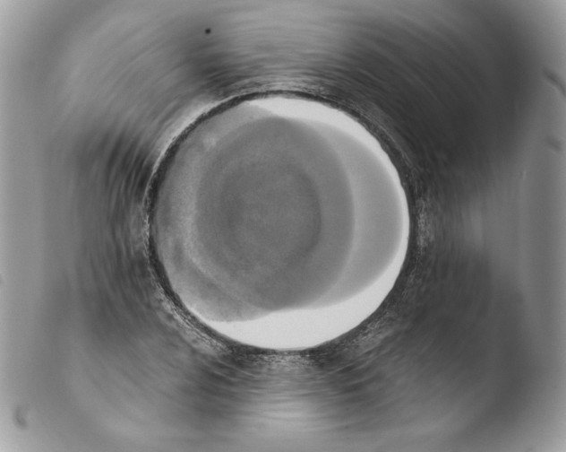 X0000103961024200810171857