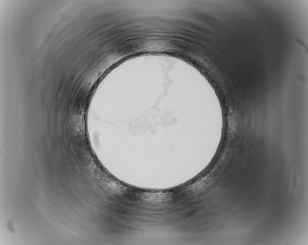 X0000103961025200810171857