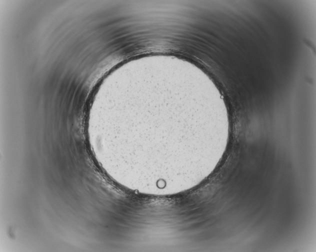 X0000103961026200810171857