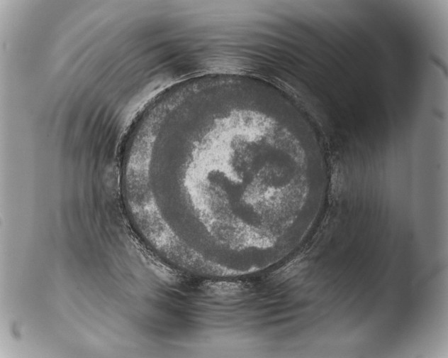 X0000103961027200810171857