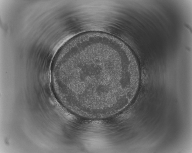 X0000103961028200810171857