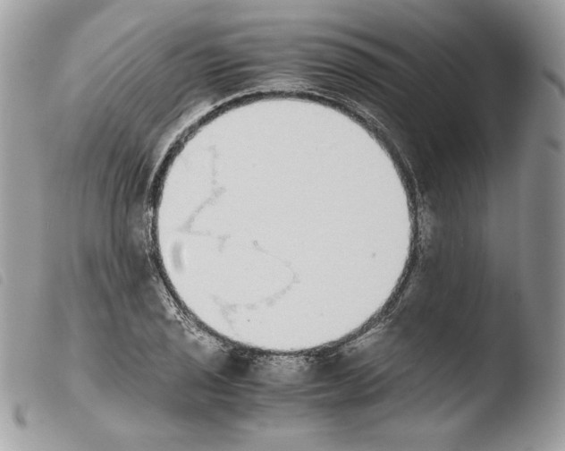 X0000103961029200810171857