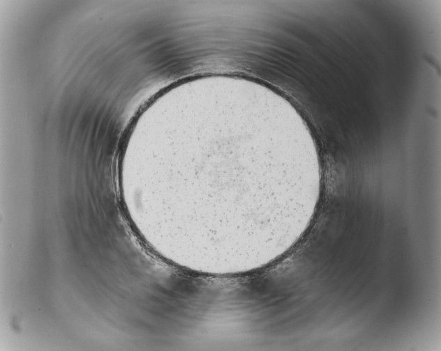 X0000103961030200810171857